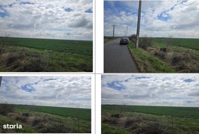 Teren de 5000 mp, în Filipeștii de Târg - 8