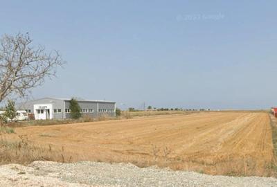 Teren agricol extravilan de 5000 mp, în Agigea