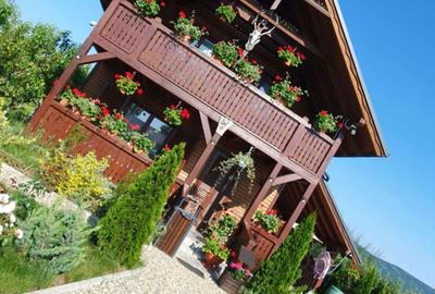 Casă cu 2 camere în Pericei - 2