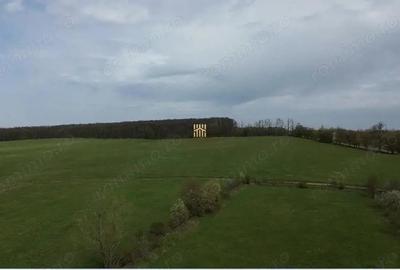 Teren de 5800 mp, în Mitocași - 1