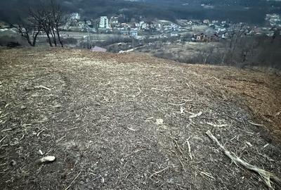 Teren Construcții intravilan de 2000 mp, în Est - 6