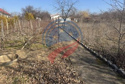 Casă individuală cu 4 camere cu Teren 4000 Mp în Central - 23