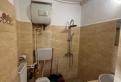 Vand garsoniera zona Teiul Doamnei - 7