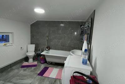 Se vinde Casa in Plaiul ?arului - 6