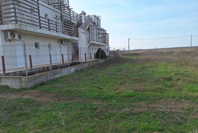 Costinesti Epava  1050 mp intravilan,asfalt - 3