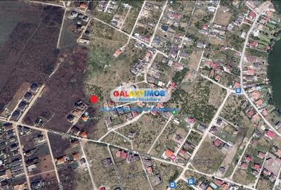 Teren Construcții intravilan de 8011 mp, în Mogoșoaia - 3