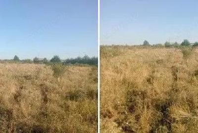 Targu Neamt, Punct Manesti, cota parte 1/2, ID: R2759107 - 7