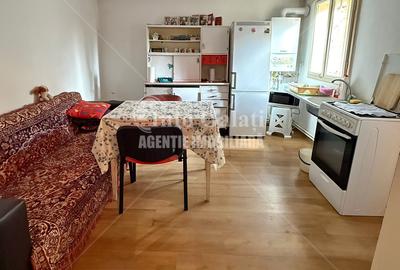 Casă individuală cu 2 camere cu Canalizare în Bd. Coșbuc - 2