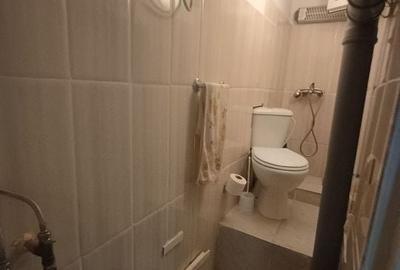 Apartament in vila 2 camere - 6