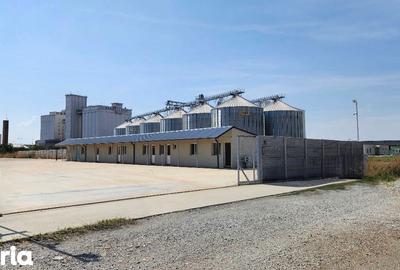 Spațiu comercial, de 4,000 mp, în Sântandrei - 1