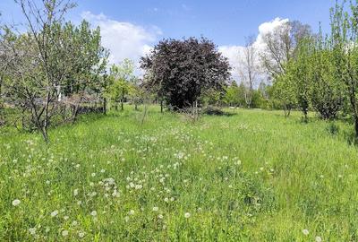 Teren de 1408 mp, în Brebu - 4
