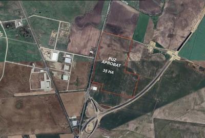 Teren de 350000 mp, în Sânandrei - 2