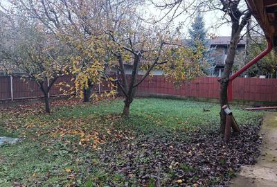 Teren Construcții intravilan de 491 mp, în Ciurea