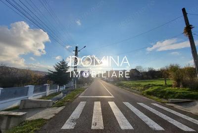 Teren de 11939 mp, în Bălănești - 2