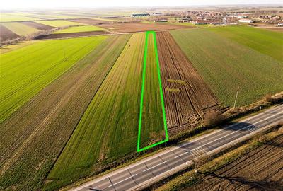 Teren intravilan de 5000 mp, în Tămășeu - 2