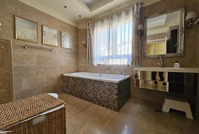 4 cam floreasca, plus 1 cam mansarda(birou), in vila, curte, garaj - 14