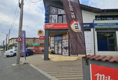 Vanzare spatiu comercial + depozit - Brestei (Raului) - 7
