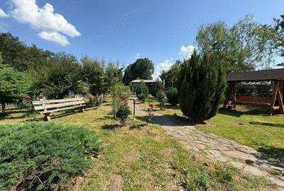 *Domeniu* cu poten?ial turistic - casa de vis, livada ?i vie - Bumbe?ti-Jiu - 1
