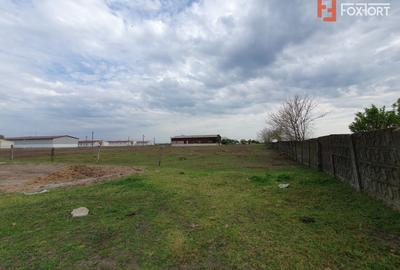 Teren Construcții intravilan de 58340 mp, în Sânmartinu Sârbesc - 26