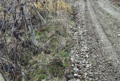 Teren de 2800 mp, în Exterior Vest - 3