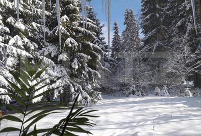 Cabana  cu teren 1364mp, zona Bucin Cabana  cu teren 1364mp, zona Bucin - 13