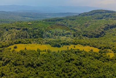 COMISION 0% Teren Grid/Inima Naturii/ Oportunitate de inv... - 9