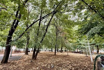 REA1017729 Apartament 2 camere I Ferdinand I Obor I De vanzare REA1017729 Apartament 2 camere I Ferdinand I Obor I De vanzare - 17