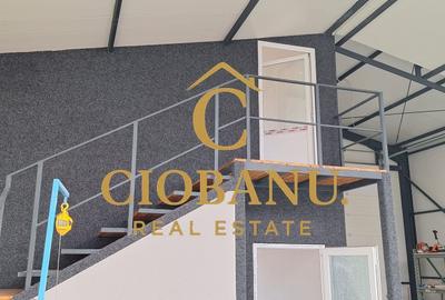 Hala de vanzare in Racari de Jos - 5