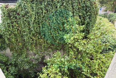 UNIC in Zona - Apartament in Vatra Luminoasa - 2