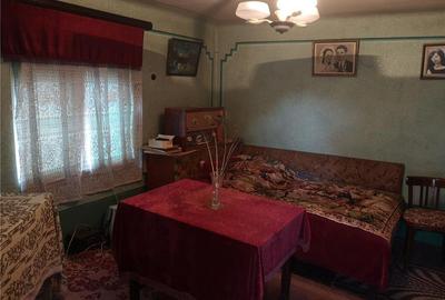 Casă cu 4 camere cu Teren 1400 Mp în Lerești - 1