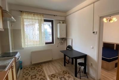 Apartament cu 2 camere semidecomandat, mobilat în Podu Roș - 1