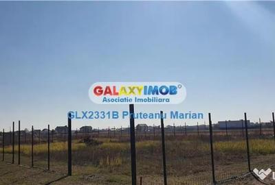 Teren de 1500 mp, în Clinceni - 7