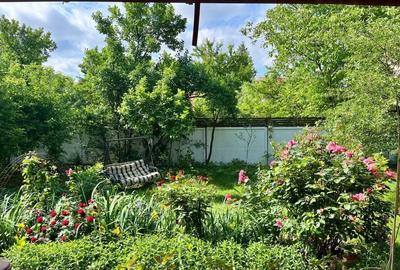 POVESTEA UNEI CASE PENTRU GENERATII  | VILA CU FARMEC, LUMINA SI TEREN 1618 MP POVESTEA UNEI CASE PENTRU GENERATII  | VILA CU FARMEC, LUMINA SI TEREN 1618 MP - 17