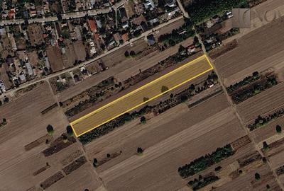 Teren Construcții intravilan de 10805 mp, în Grădiștea - 1