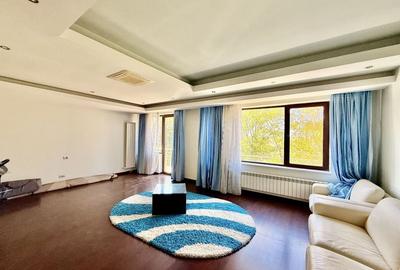 Duplex 14 camere Pantelimon Cernica 864 mp desfasurati - 27