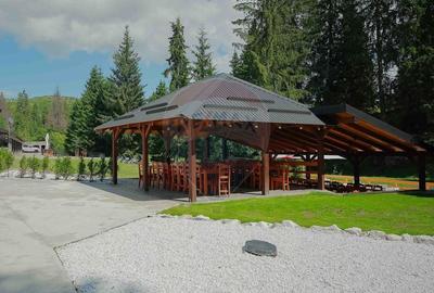 Hotel/Pensiune, de 972 mp, în Budureasa - 3