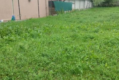 Casă individuală cu 2 camere cu Teren 1032 Mp în Tăuți - 4