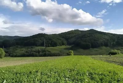 Teren de 2792 mp, în Rotarea - 2