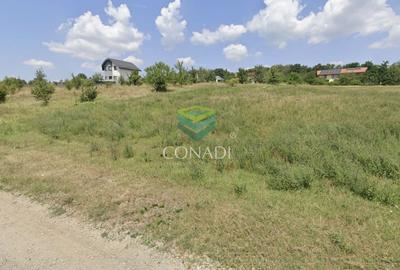 Teren Construcții intravilan de 800 mp, în Brănești - 5