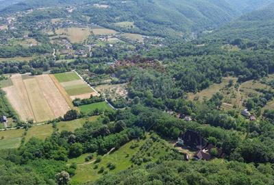 DE VANZARE CASTEL IN MARAMURES - 11