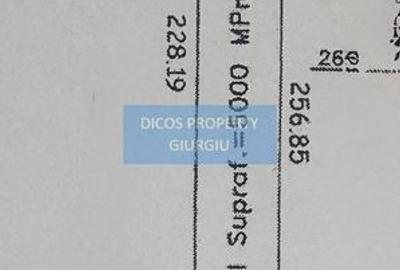 Teren de 5000 mp, în Vedea - 3