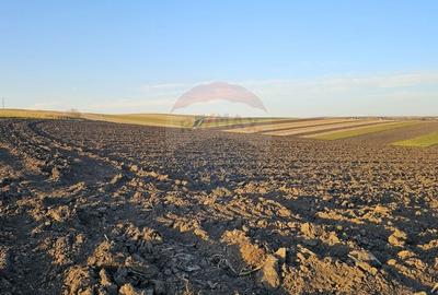 Teren agricol extravilan de 30077 mp, în Stroiești - 6