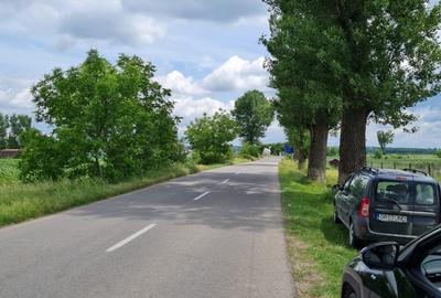 Teren intravilan 769 mp vis-a-vis baltă,în Comana,GR.Deschidere 25 ml la  asfalt Teren intravilan 769 mp vis-a-vis baltă,în Comana,GR.Deschidere 25 ml la  asfalt - 1