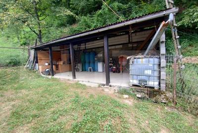Cabana 3 cam,2 nivele 100 mp+teren extravilan 2,5 ha+1 ha padure,zona Nasaudului - 10