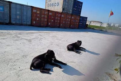 Spațiu comercial, de 2,400 mp, în Central - 2