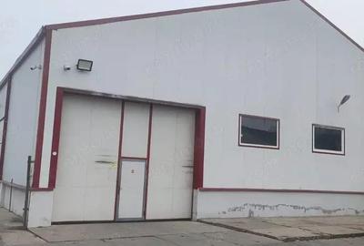 Hala 840 mp B-dul Biruintei AO - 1