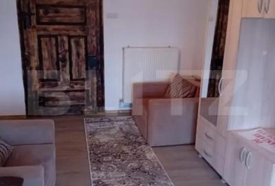 Casă cu 2 camere cu Teren 2850 Mp în Răhău - 14