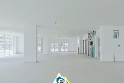 Spațiu comercial, de 290 mp, în Micălaca - 5