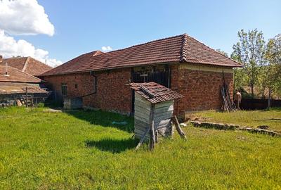 Casă individuală cu 4 camere cu Teren 11000 Mp în Dumbrăvița de Codru - 6