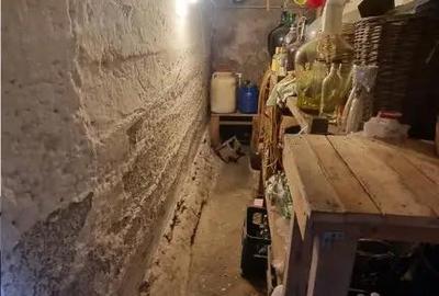 Casă cu 5 camere cu Teren 240 Mp în Zizin - 4